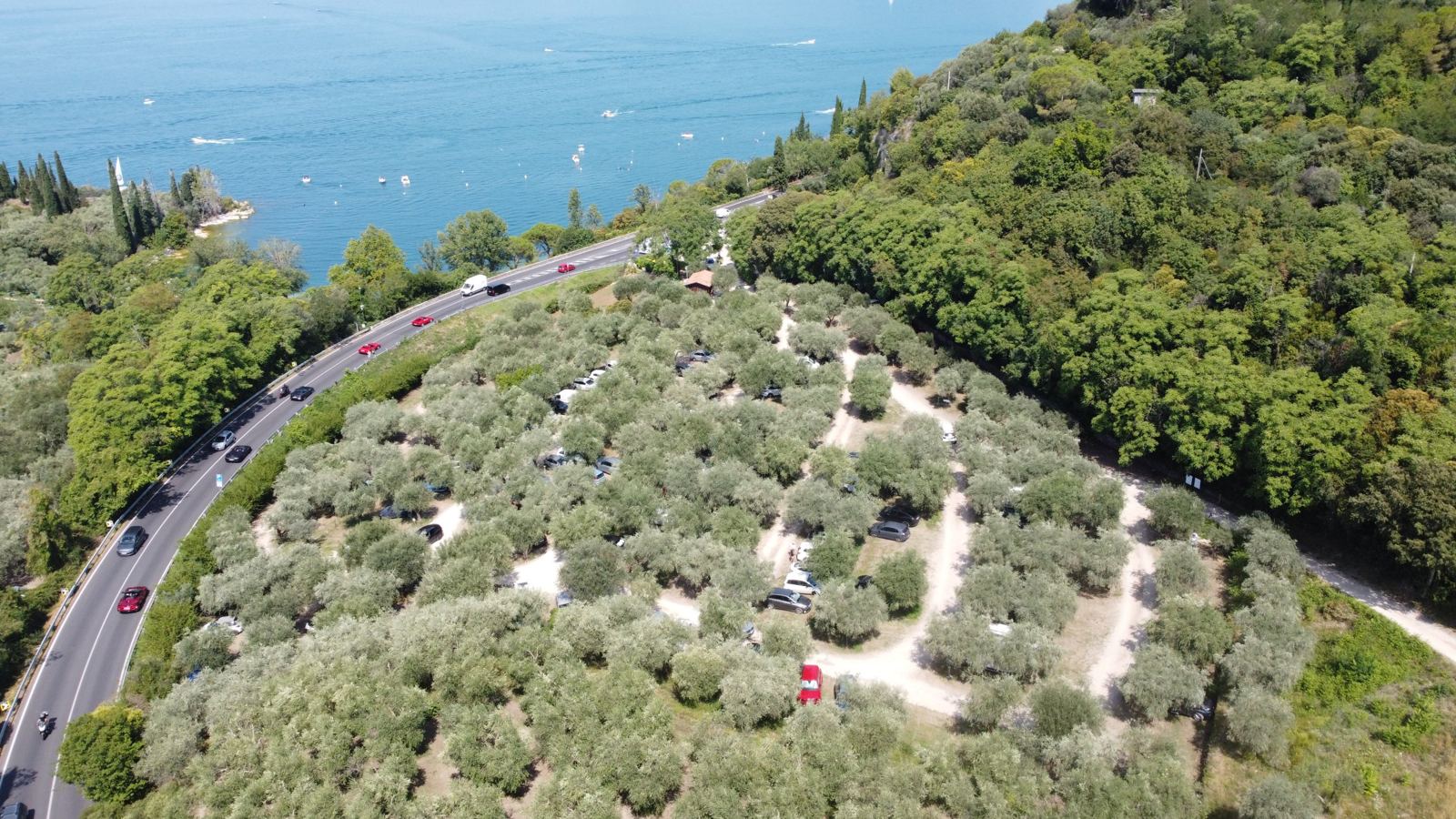 Veduta aerea del parcheggio tra gli ulivi